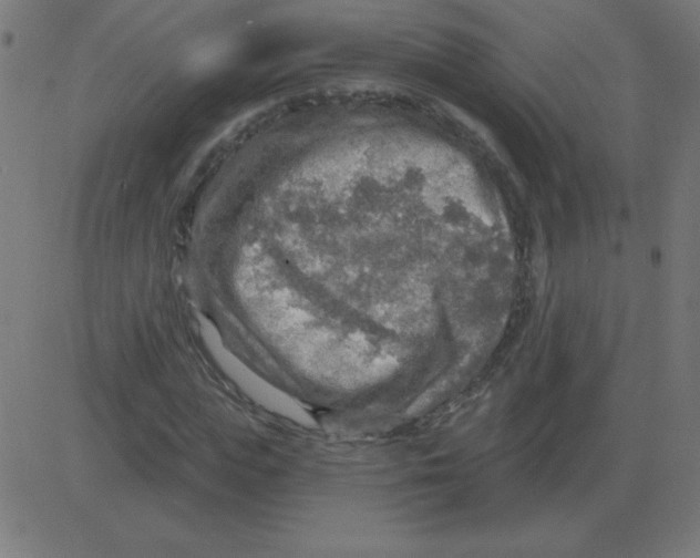 X0000081280823200702012216