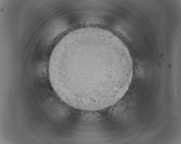 X0000081280824200702012216