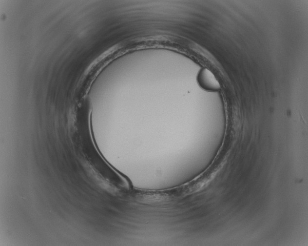 X0000081280826200702012216