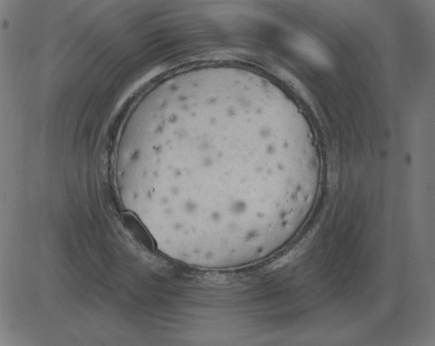 X0000081280827200702012216