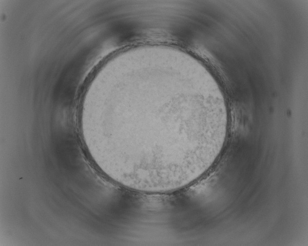 X0000081280828200702012216