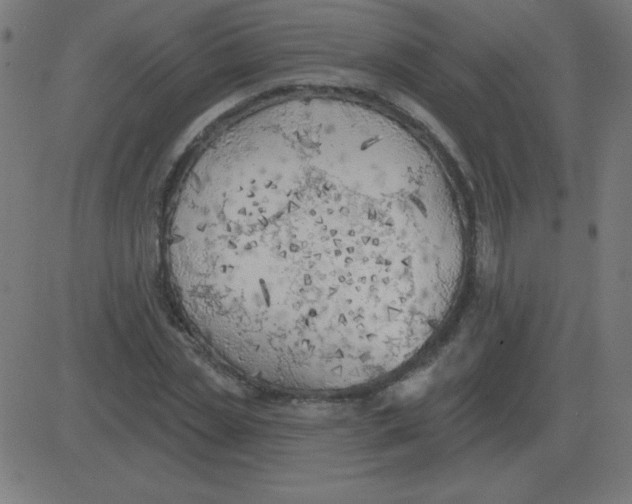 X0000081280829200702012216