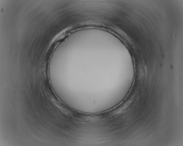 X0000081280830200702012216