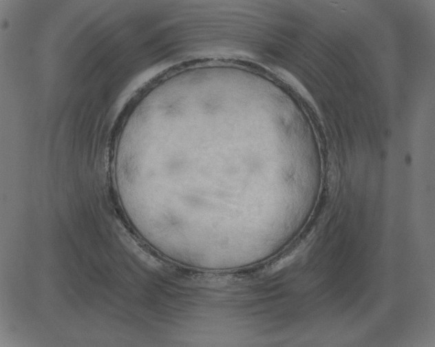 X0000081280831200702012216