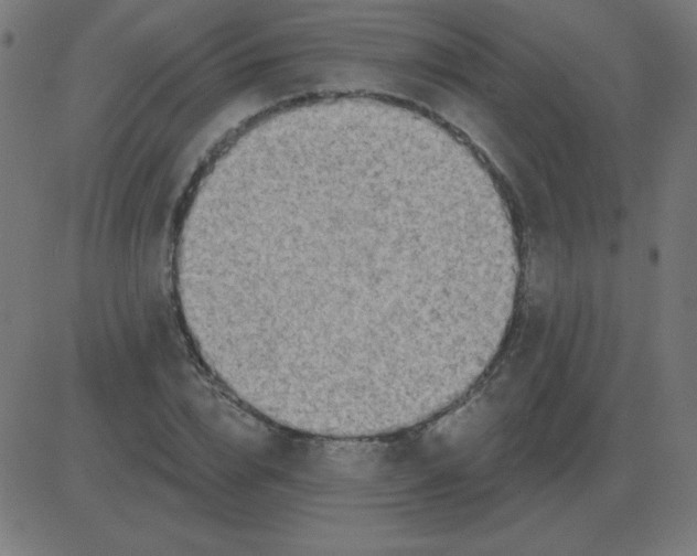 X0000081280832200702012216