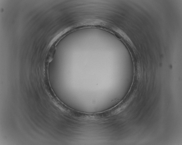 X0000081280834200702012216