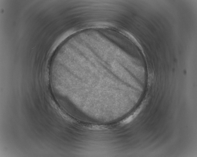 X0000081280835200702012216