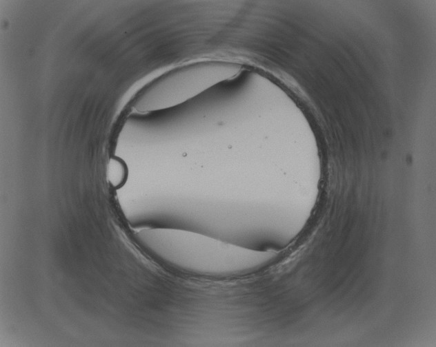 X0000081280838200702012216