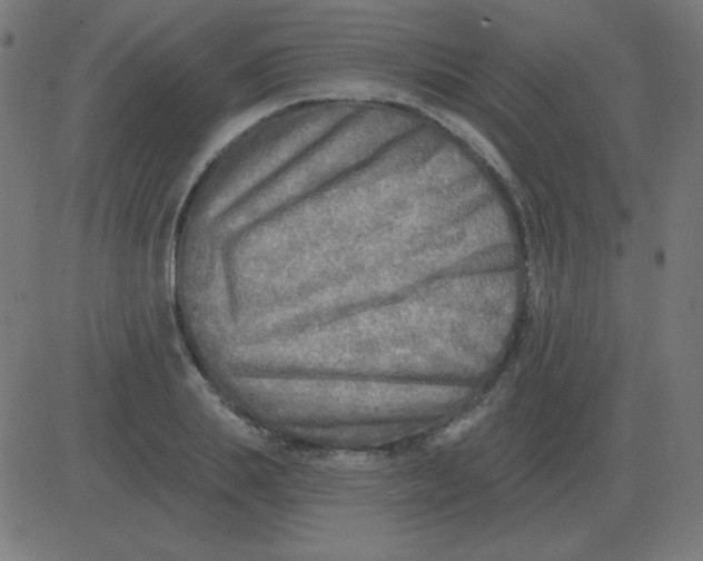 X0000081280839200702012216