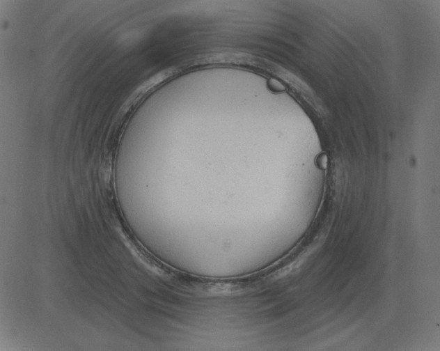 X0000081280841200702012217