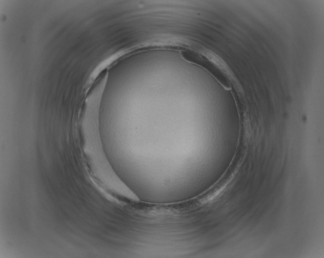 X0000081280842200702012217