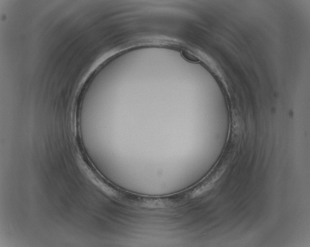 X0000081280843200702012217