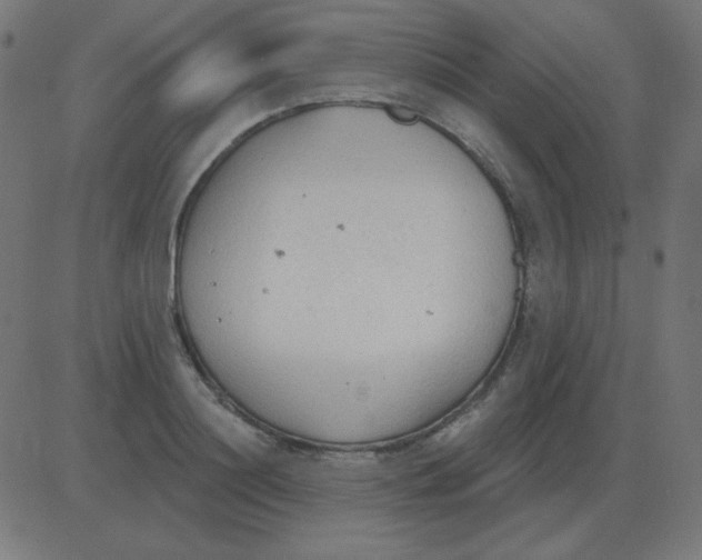 X0000081280844200702012217