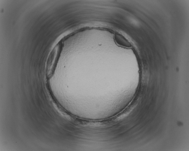 X0000081280845200702012217