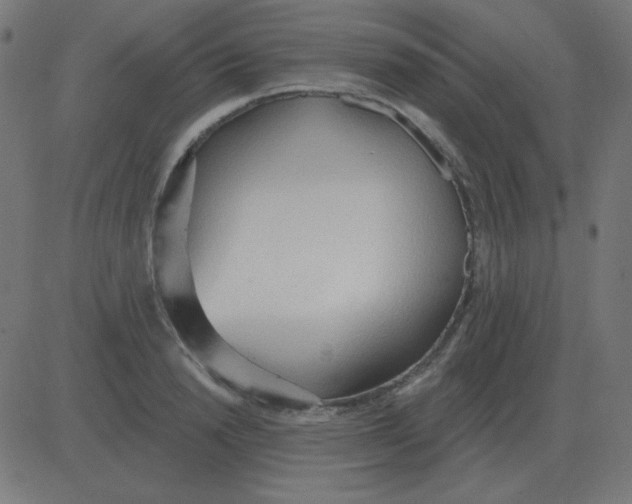 X0000081280846200702012217