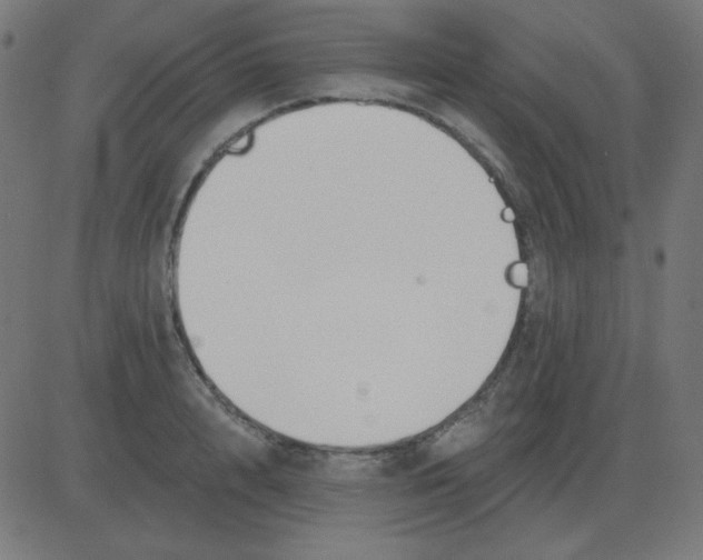 X0000081280848200702012217