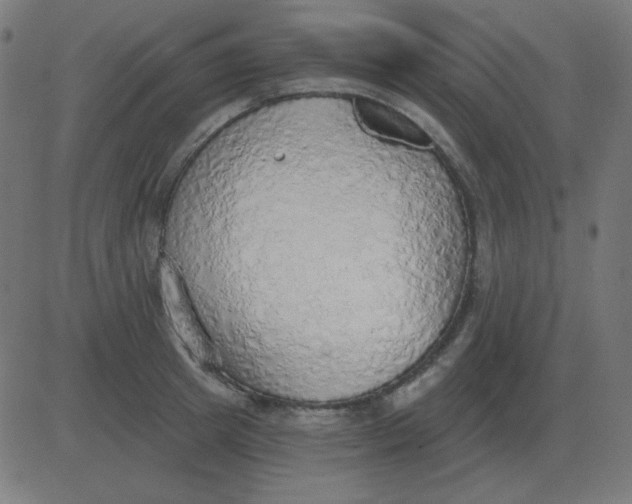 X0000081280849200702012217