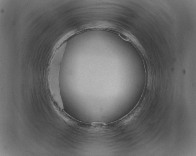 X0000081280850200702012217