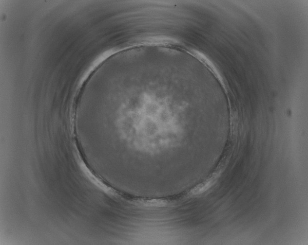 X0000081280851200702012217