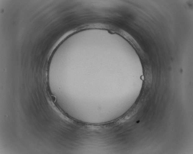 X0000081280852200702012217