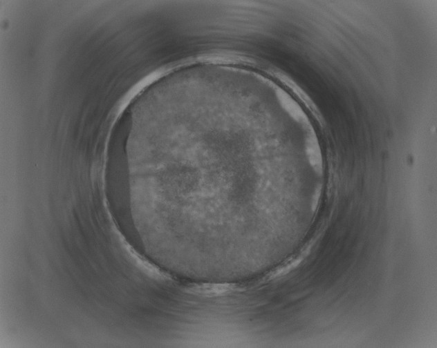 X0000081280853200702012217