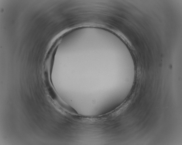 X0000081280854200702012217