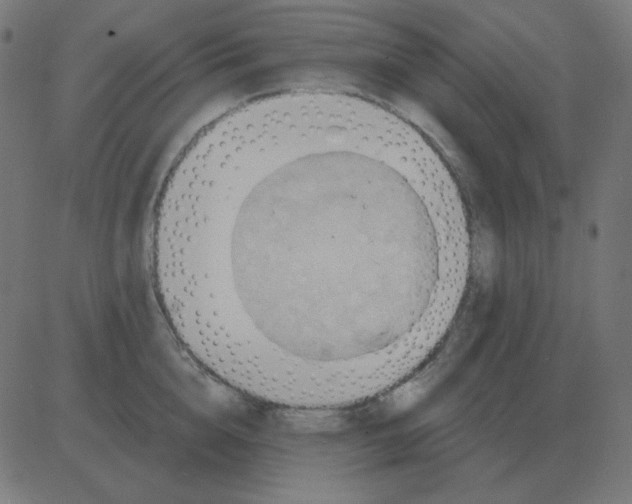 X0000081280856200702012217