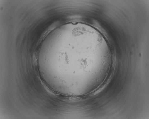 X0000081280857200702012217