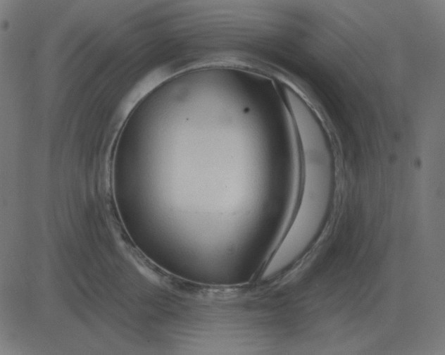 X0000081280858200702012217