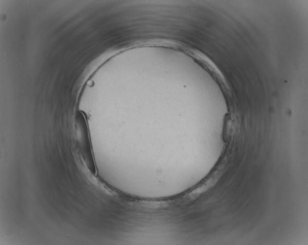 X0000081280860200702012217