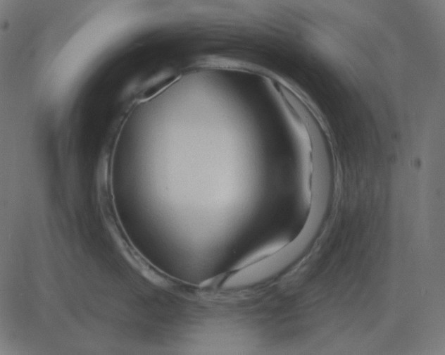 X0000081280862200702012217