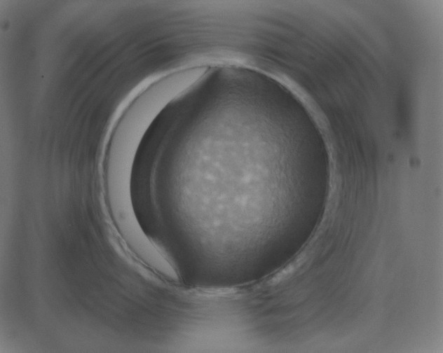 X0000081280864200702012217