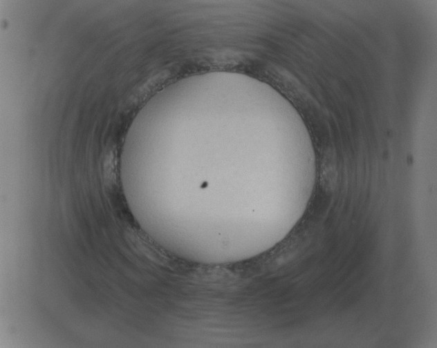 X0000081280866200702012216