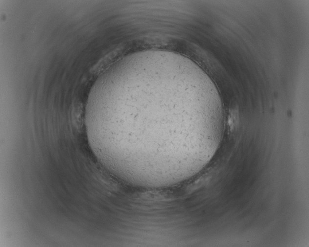 X0000081280867200702012216