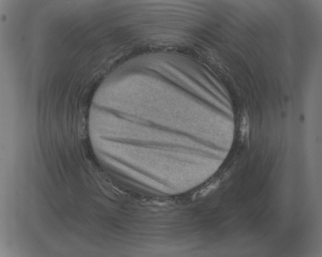 X0000081280868200702012216