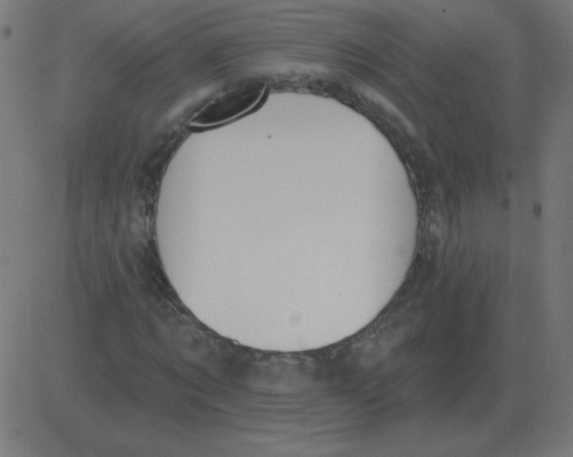 X0000081280869200702012216