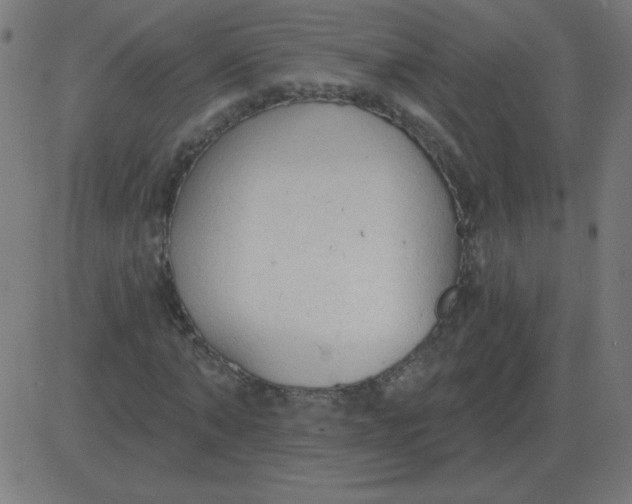 X0000081280870200702012216