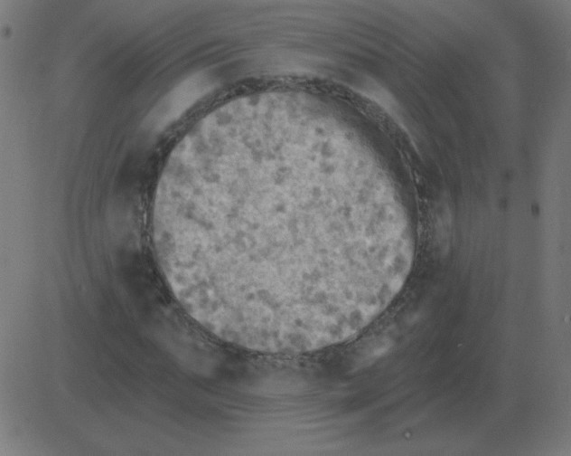 X0000081280871200702012216