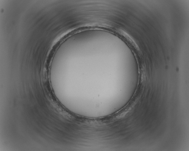 X0000081280876200702012216