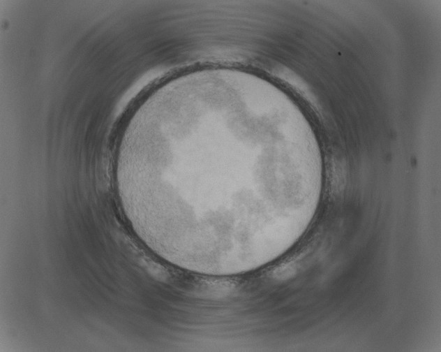 X0000081280878200702012216