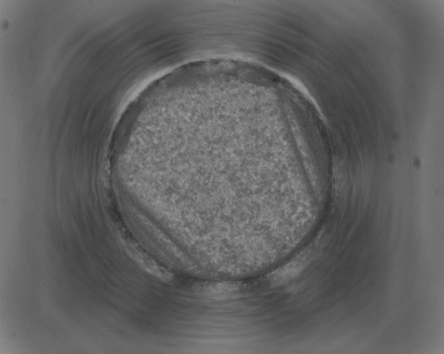 X0000081280879200702012216