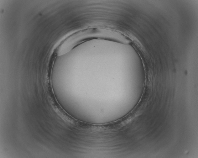 X0000081280880200702012216