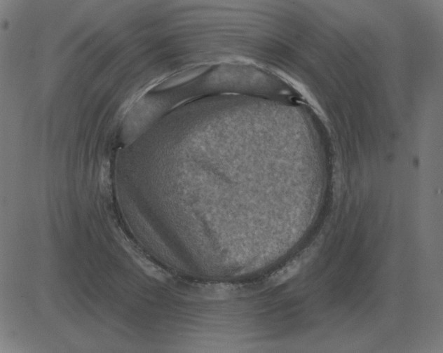 X0000081280881200702012216