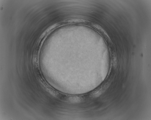 X0000081280882200702012216