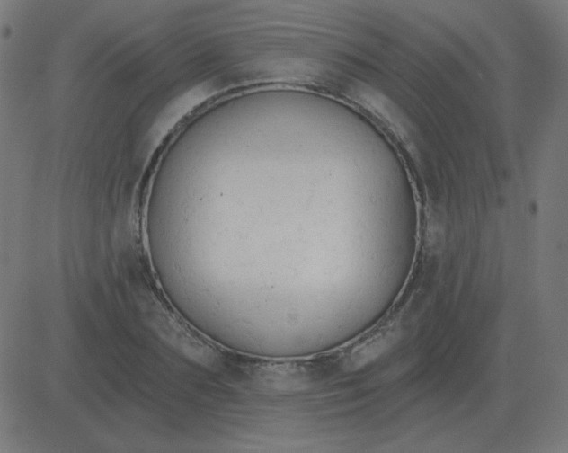 X0000081280883200702012216