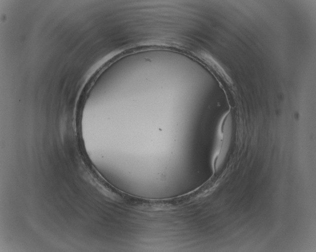 X0000081280884200702012216