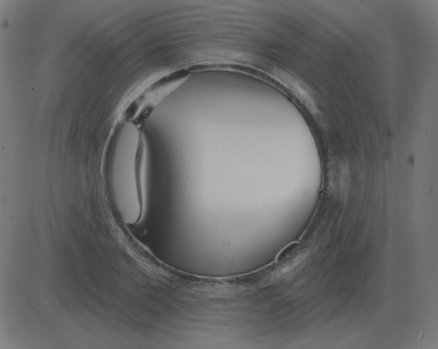 X0000081280885200702012216