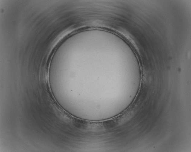 X0000081280887200702012216