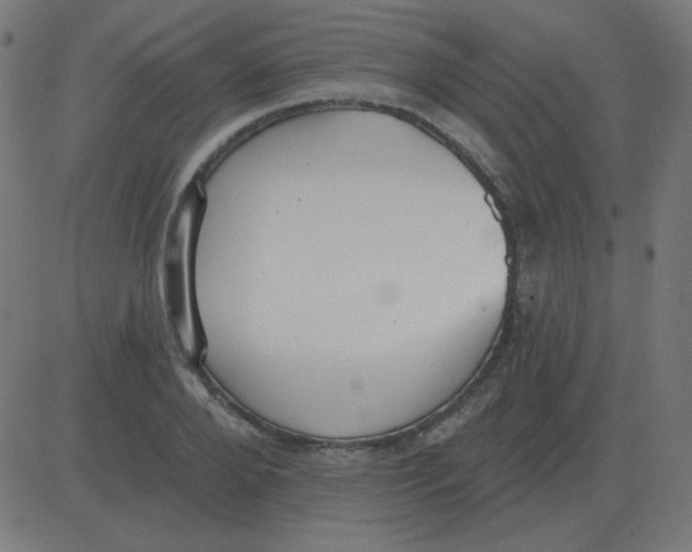 X0000081280888200702012216