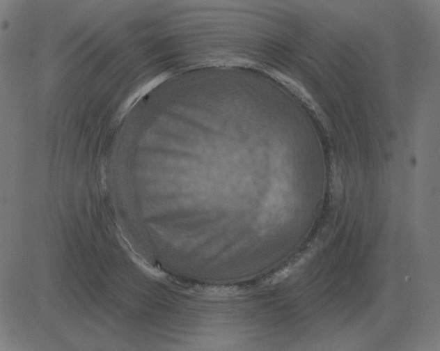 X0000081280889200702012216